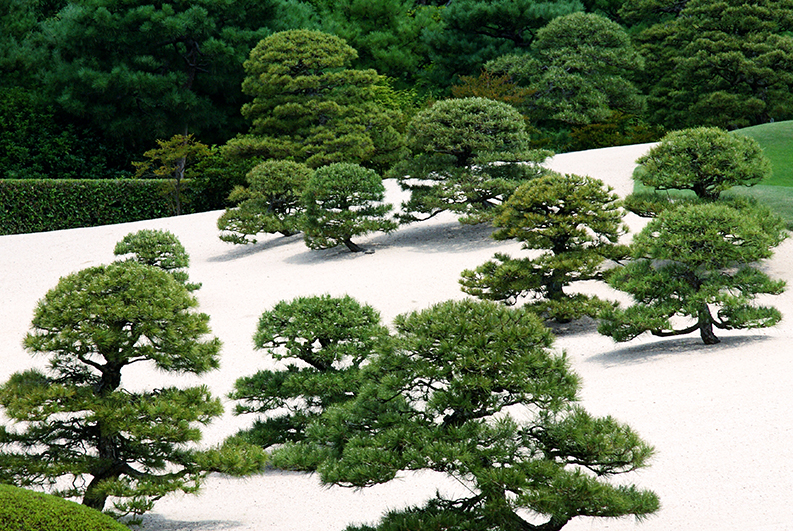 ญี่ปุ่น ยังมีความงามที่เรียกว่าสวนในฝันรอคุณมาเยี่ยมชม ตามมาดูกันเลย