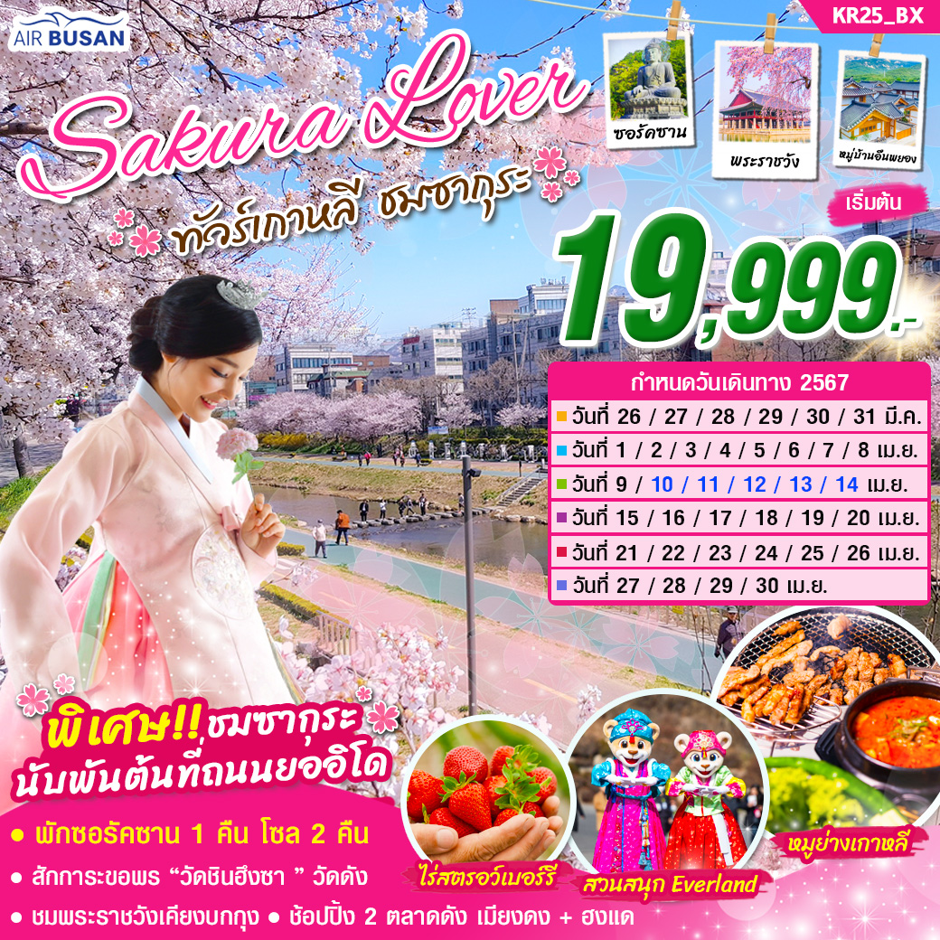 ทัวร์เกาหลี SAKURA LOVE 5วัน 3คืน