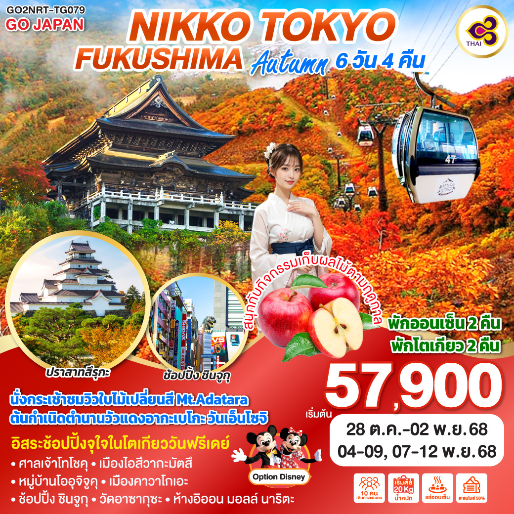 ทัวร์ญี่ปุ่น  NIKKO TOKYO FUKUSHIMA AUTUMN 6วัน 4คืน (TG)